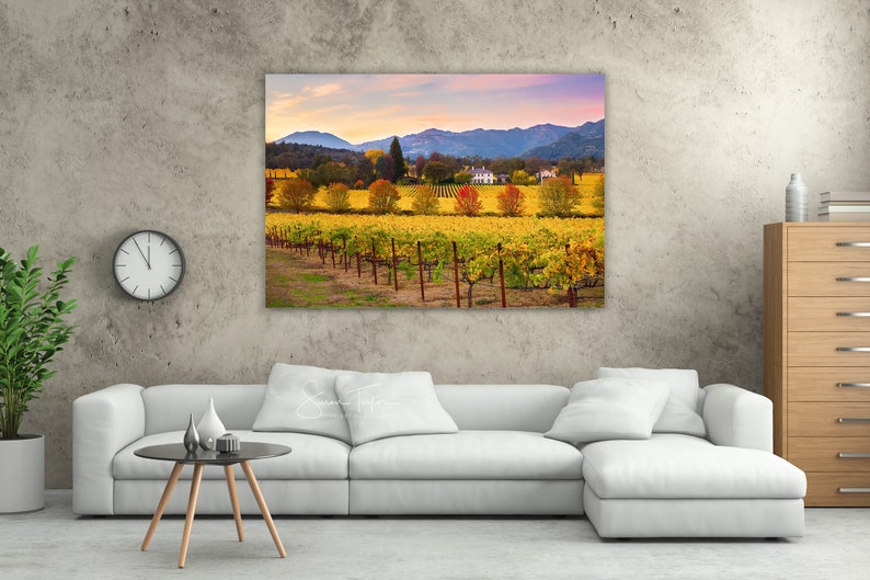 May include: A photograph of a vineyard in autumn with rows of grapevines, colorful trees, and a white house in the distance. The mountains are in the background and the sky is a soft pink and purple.