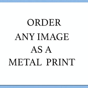 Op de afbeelding: Bestel elke afbeelding als een metalen print.