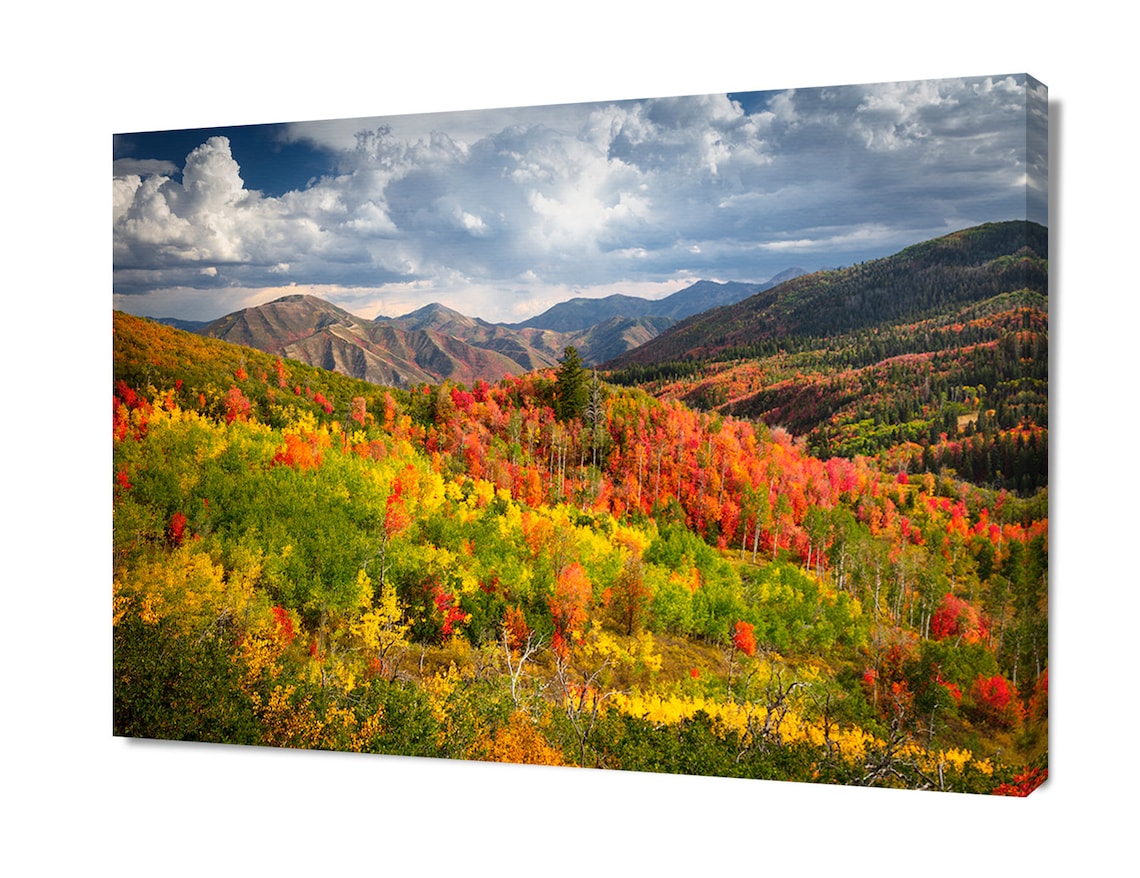 Autumn Photography, Utah's Wasatch Range, Utah Woodland Fall Color ...
