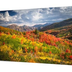 Autumn Photography, Utah&#39;s Wasatch Range, Utah Woodland Fall Color Print, Fine Art Fall Canvas, Autumn Mountain Office Decor, Giant Wall Art