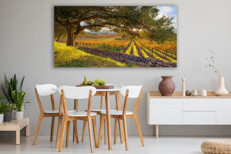 California Wine Country, Vineyard Print, Panorama Oak Tree, Large Napa Valley Photo, Autumn Home Decor Canvas, Harvest Green Gold, Oakville image 7