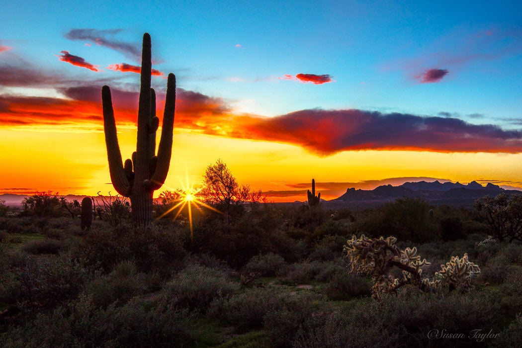 Southwest Photo Arizona Sunset Desert Cacti Art Extra Large - Etsy