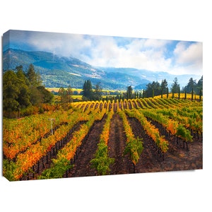 Wine Country Photography, Castello Di Amorosa Print, Napa Valley Autumn Vineyard,Fall Print, California Winery, Calistoga Harvest Canvas Art