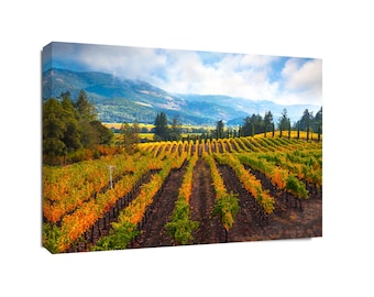 Wine Country Photography, Castello Di Amorosa Print, Napa Valley Autumn Vineyard,Fall Print, California Winery, Calistoga Harvest Canvas Art