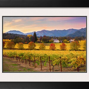 May include: A vineyard with rows of yellow grapevines in the foreground, a white farmhouse in the middle ground, and a mountain range in the background. The sky is a soft pink and blue.