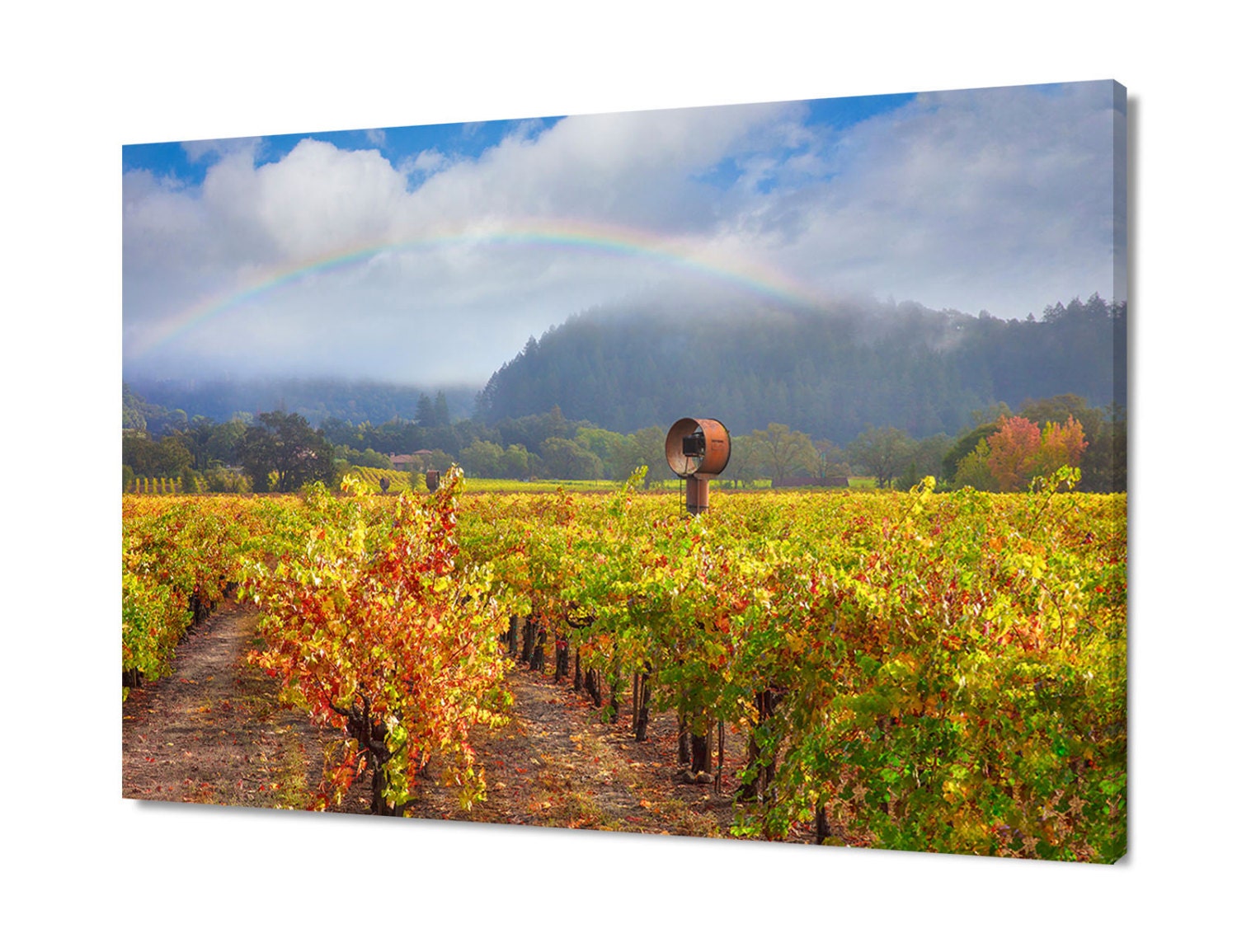 Large Napa Valley Vineyard Photo, Autumn Rainbow Photography, California Wine Country Harvest Home Decor, Blue Orange, Calistoga  Office Art