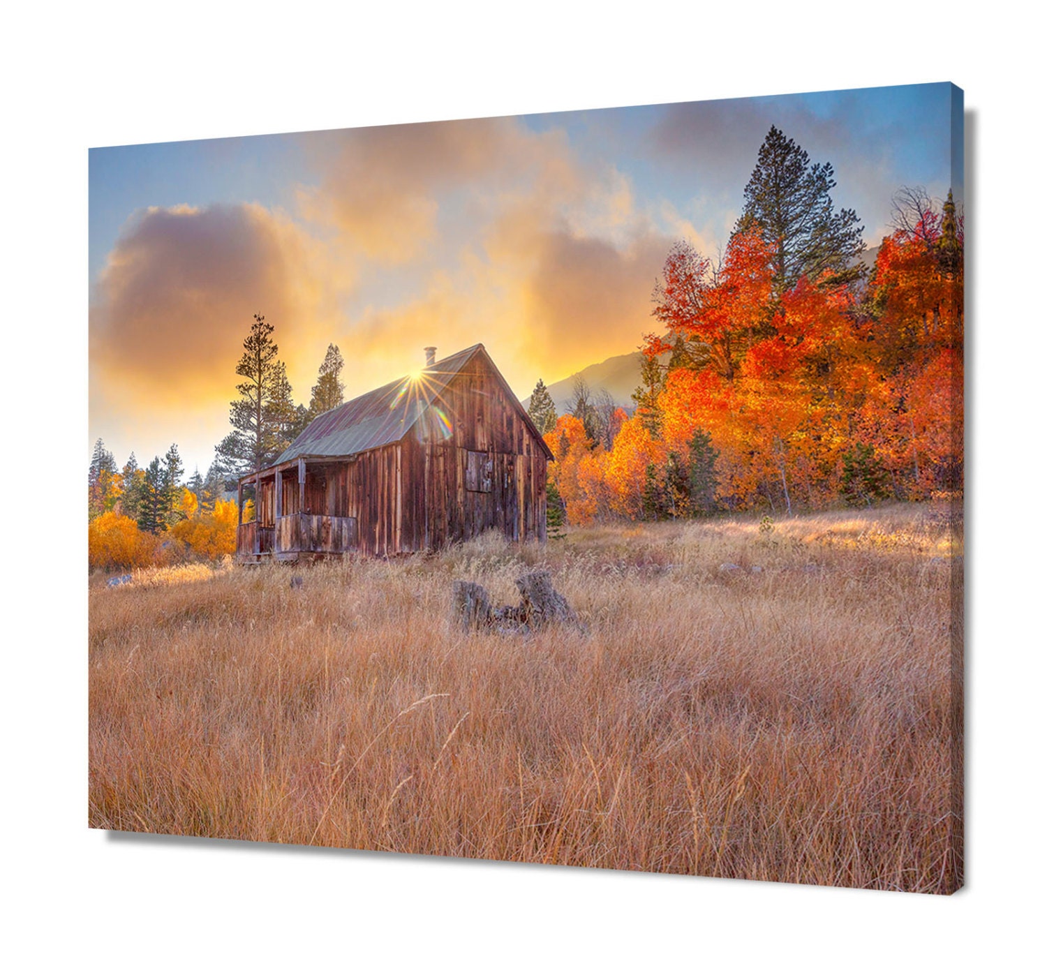Large Autumn Cabin Photograph Sierra Fall Print California - Etsy