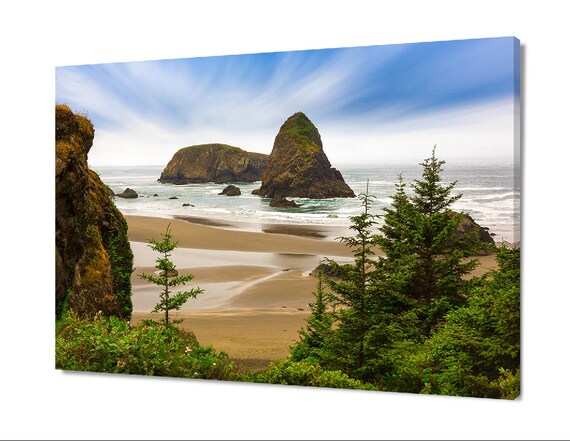 Coastal Photography Beach Tree Canvas Photo Oregon Print | Etsy