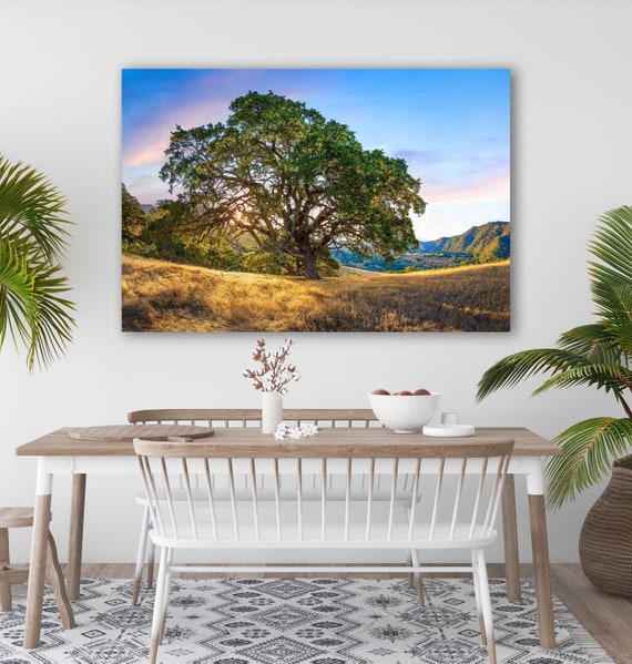 Mt. Diablo State Park Print, Bay Area Wall Decor, Tree Swing, California Sunset Wall Art, Oak Tree Photo, Peaceful Adventure Mountain Canvas