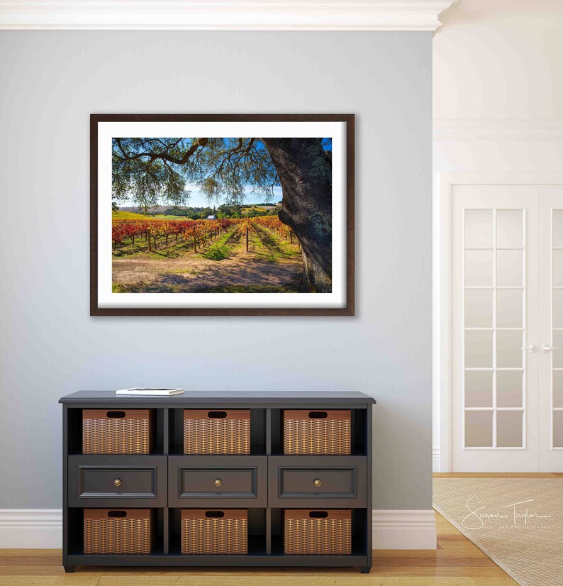 May include: A framed photograph of a vineyard with rows of grapevines in autumn colors. The vines are in the foreground, with a tree and a house in the background. The sky is blue and the sun is shining.