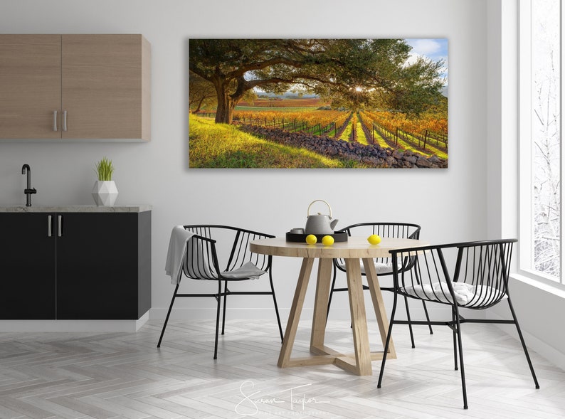 California Wine Country, Vineyard Print, Panorama Oak Tree, Large Napa Valley Photo, Autumn Home Decor Canvas, Harvest Green Gold, Oakville image 1