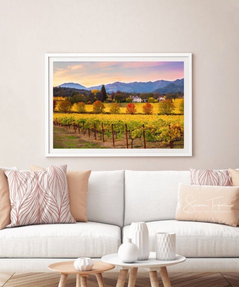 May include: A framed photograph of a vineyard landscape with rows of grapevines in autumn colors, a farmhouse in the distance, and a mountain range in the background. The sky is a soft pink and purple.