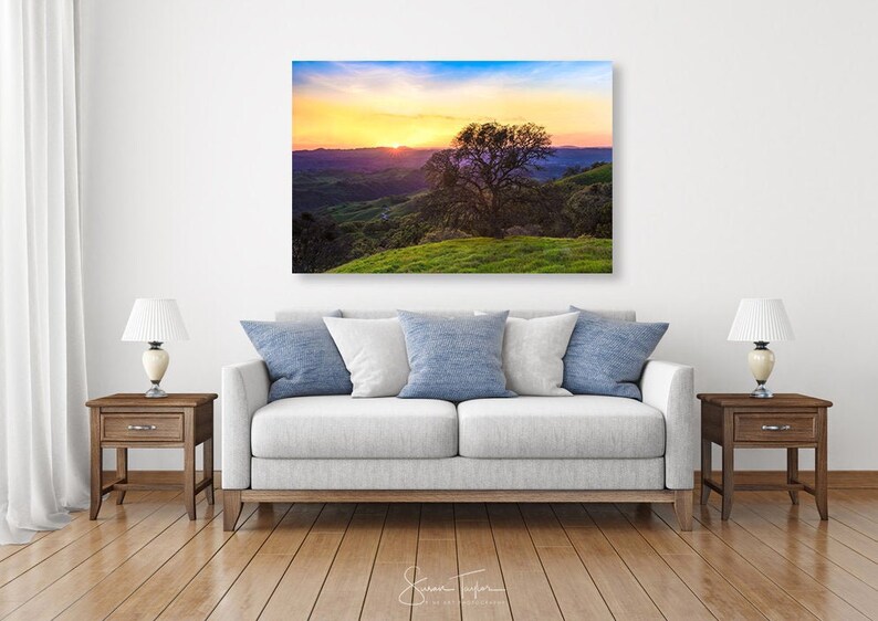 May include: A panoramic photograph of a sunset over rolling hills with a lone tree silhouetted in the foreground. The sky is a vibrant mix of pink, orange, and purple hues.