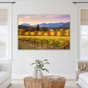 May include: A scenic landscape photograph of a vineyard in autumn with rows of yellow and red grapevines, a white farmhouse in the distance, and a mountain range in the background.