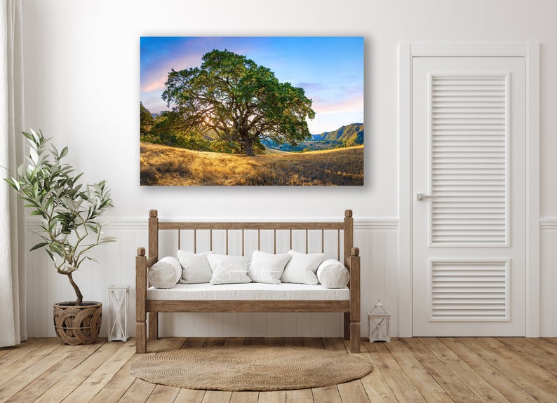 May include: A large oak tree stands in a field with rolling hills in the background. The sky is a vibrant blue with pink and orange clouds. The sun is shining through the branches of the tree, casting a warm glow on the field.