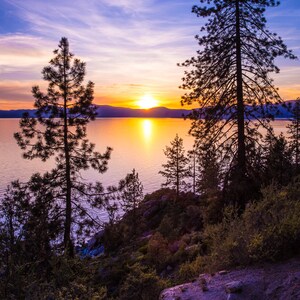 May include: Silhouetted pine trees stand tall against a vibrant sunset over a still lake. The sky is a mix of purple, pink, and orange hues, reflecting on the water's surface.