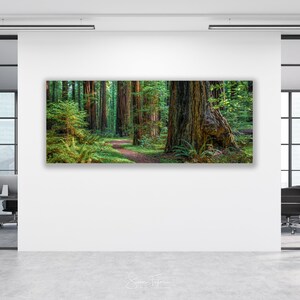 Paul Sinus Art 2 Bilder je 60x90cm Wald Frühling Waldblumen Birken Gelb Idyllisc