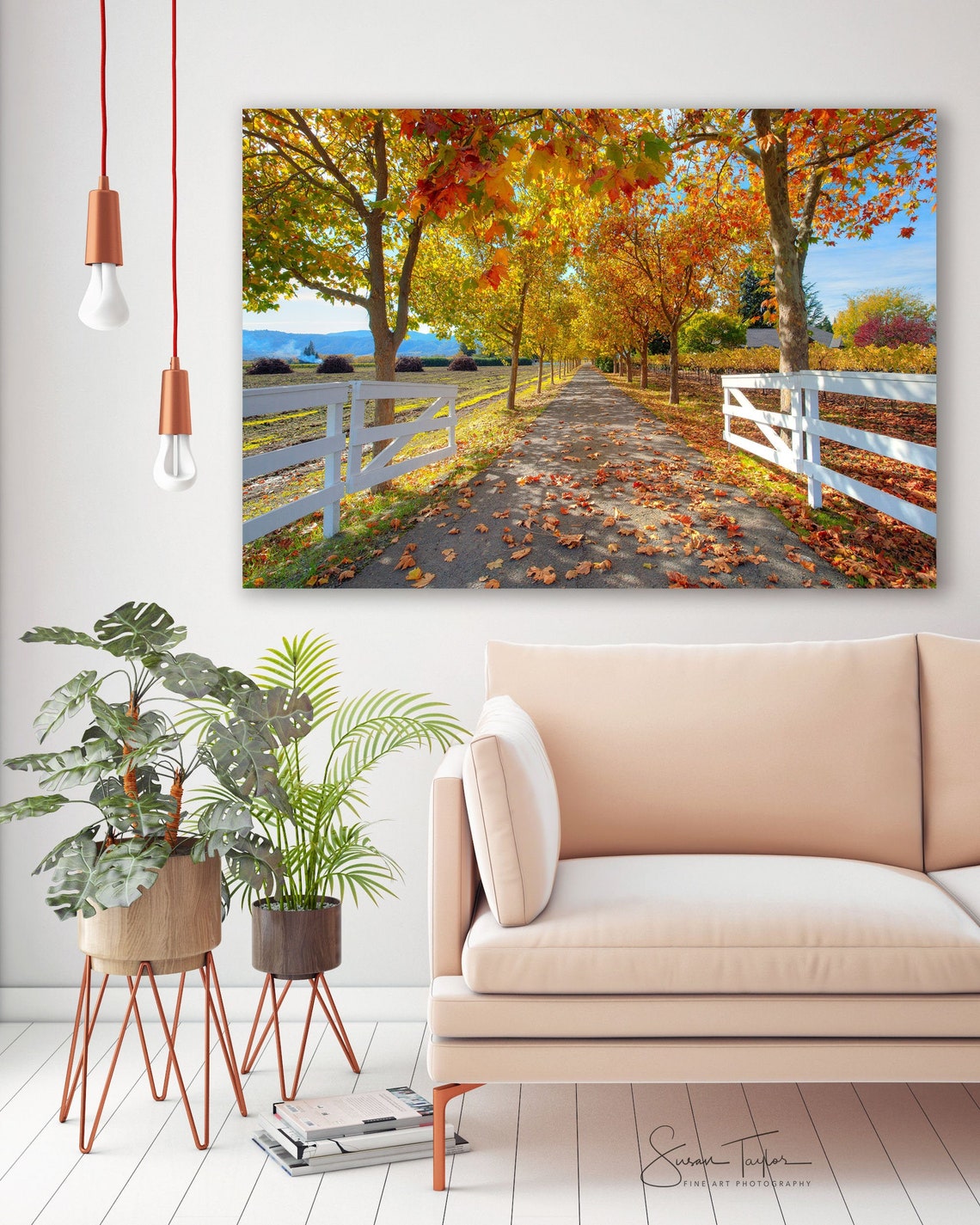 Large Wine Valley Print St Helena Autumn Trees Photo Etsy