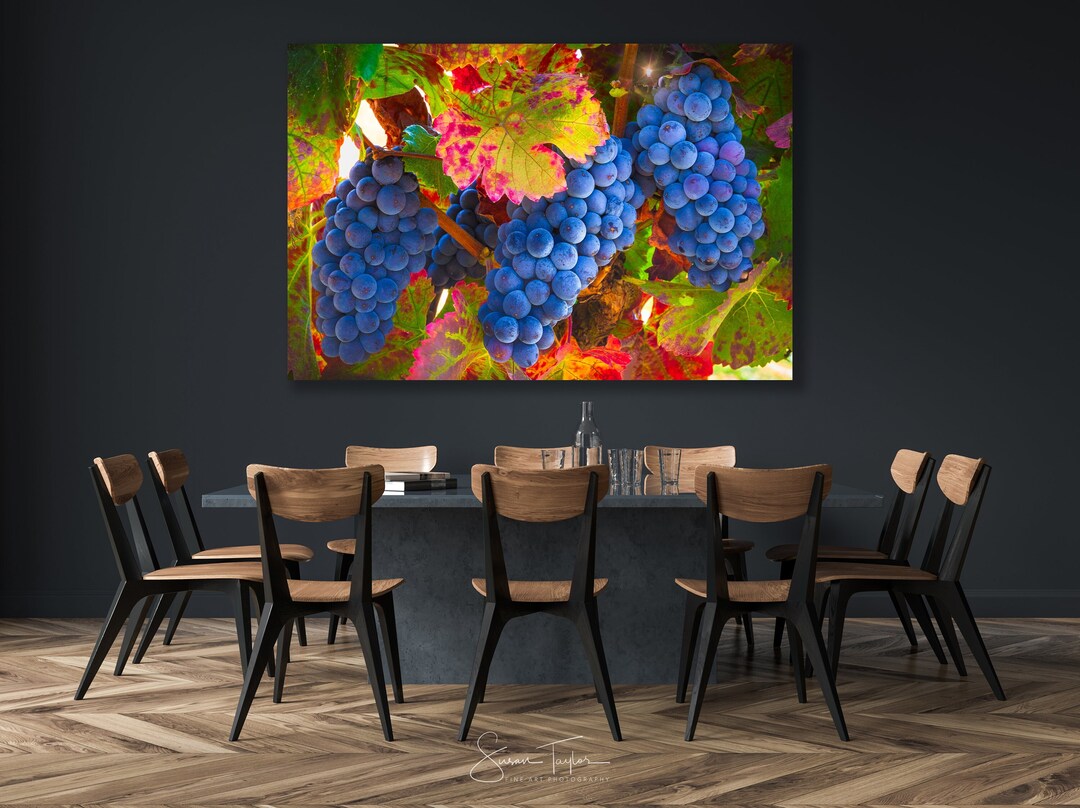 Fall Rustic Decor, Ripe Purple Grape Vineyard, Nature Art, Napa Sonoma ...