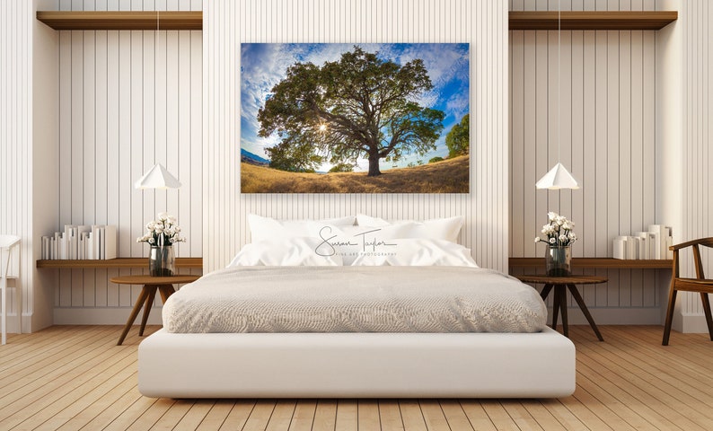 Puede incluir: Un dormitorio blanco con una gran impresi&oacute;n en lienzo de un &aacute;rbol con un sol brillando a trav&eacute;s de las ramas. La impresi&oacute;n est&aacute; colgada sobre una cama blanca con una cabecera blanca y una colcha blanca. Hay dos l&aacute;mparas blancas colgadas del techo a cada lado de la cama.