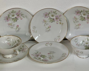 TIRSCHENREUTH china APPLE BLOSSOM 246 white CUP & SAUCER Set Cup 2-1/4" 