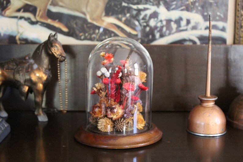1970s Dried Flower Cloche Vintage Cloche With Dried Flowers Etsy