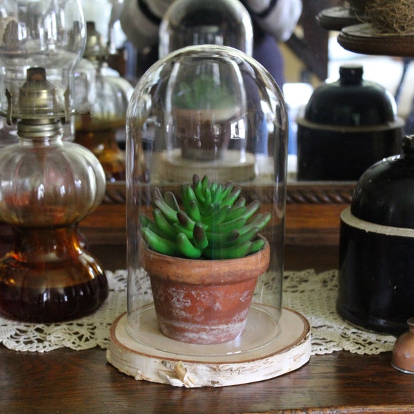 Vintage Cloche on Base, Large Glass Cloche on Wood, Glass Dome, Victorian Style Cloche for Curiosities, Boho Display Jar, Terrarium Bell Jar