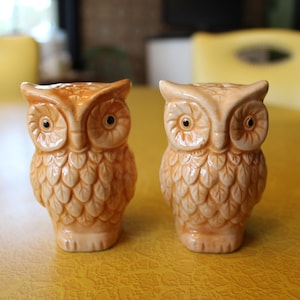 Retro Owl Salt and Pepper Shakers, Vintage Owl Salt & Pepper Shakers, 1970s Light Orange Ceramic Owls, Cute Kitchen Owl Figurines