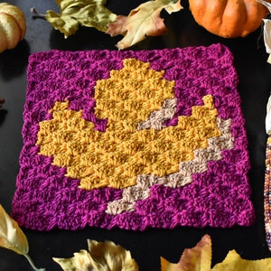 Toronto Maple Leaf Baby Blanket C2C GRAPH