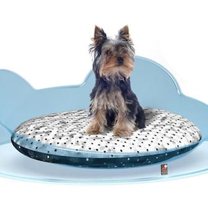 Bed for dog, Cat basket, Modern small dog bed and pet sofa blue, with washable cushion. Dog Kennel and luxury pet accessories made in Italy.