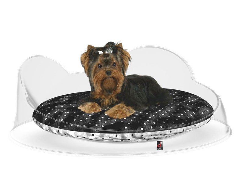 cama perro chihuahua