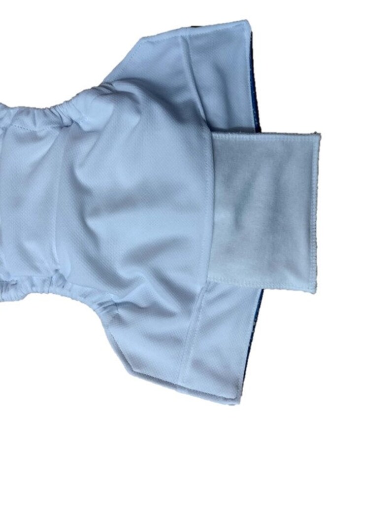 May include: A white cloth diaper with a blue and white patterned lining. The diaper has a pocket for an insert.