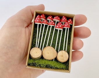 10 Toadstools and wooden stepping stones