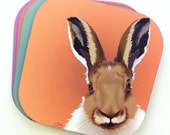 Woodland Creatures - Mr. Hare Coasters