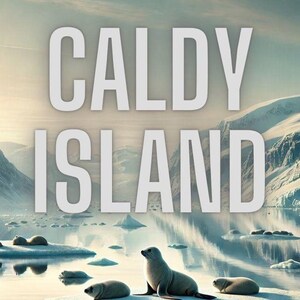 Caldy Island&#39;s Bold Bid for Greenland - King Marbles Short Tales PDF