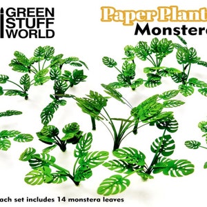 Op de afbeelding: Een set van 14 Monstera-bladeren van papier, perfect voor knutselen en het creëren van realistisch ogende papierplanten. Elk blad is groen en heeft een unieke vorm en grootte. De bladeren zijn zo gerangschikt dat ze een tropische plant suggereren. De tekst "Paper Plants Monstera" is zichtbaar op de afbeelding.