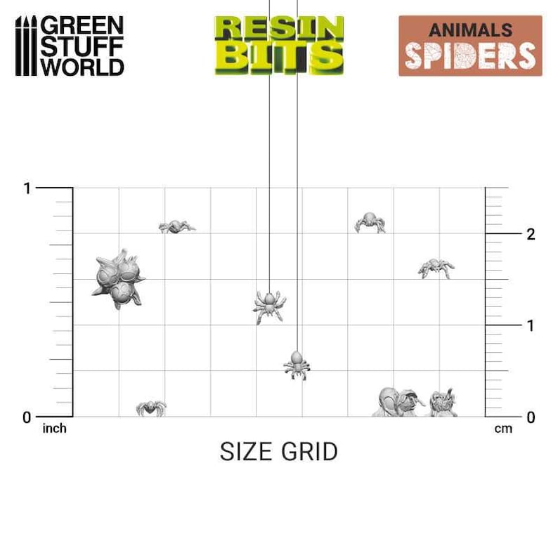 May include: A size grid with a variety of spider miniatures in different poses. The miniatures are made of gray resin and are approximately 1 inch in size. The grid is marked in inches and centimeters.