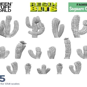 Può includere: Un set di 15 modelli di cactus saguaro in resina non verniciati per modellismo in scala 1/48. I modelli sono di diverse dimensioni e forme, alcuni hanno più braccia.