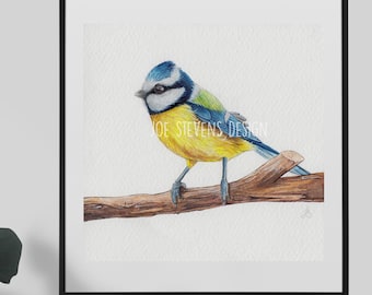 Blue tit Original Painting: 6x6" hand painted watercolour and ink Bird, British wildlife