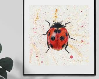 Original Ladybird Beetle Watercolour Painting: British Garden Wildlife Insect Art (6x6")