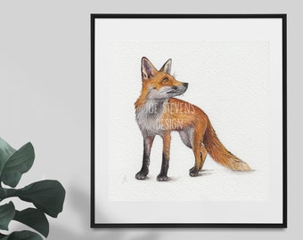 Fox Watercolour Painting - 6x6" painting on Watercolour Paper, red fox, british wildlife, Original Artwork
