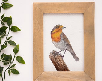 Robin Bird Original Painting- A5 Watercolour Painting, Bird illustration, british birds, garden bird