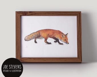 Wild Fox Original Painting: A5 Watercolour & Ink, British Wildlife