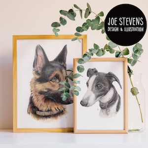 Custom Pet Portrait: Hand-Drawn Watercolour and Ink Personalised Painting