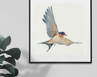 Swallow Bird Original Watercolour Painting - 8x8" hand painted artwork