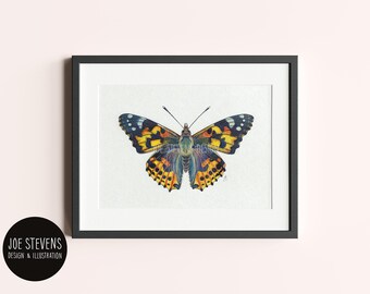 Painted Lady Butterfly Original Painting: A5 Acrylic & Ink, British Wildlife Art