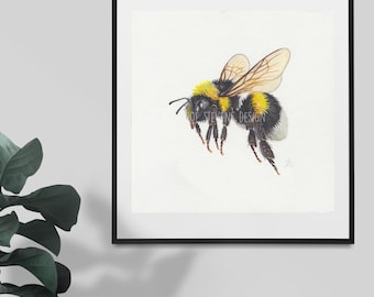 Bumble Bee Original Watercolour Painting: British Garden Wildlife Insect original Art (6x6")