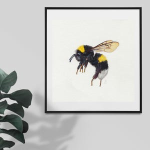 Bumblebee Original Watercolour Painting: British Garden Wildlife Art (6x6")