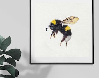 Bumblebee Original Watercolour Painting: British Garden Wildlife Art (6x6")