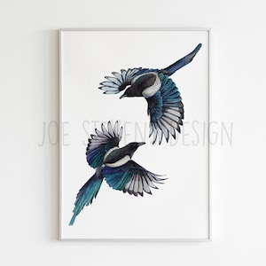 Könnte beinhalten: Gerahmter Druck mit zwei fliegenden Elstern. Die Vögel sind mit detaillierten Aquarellillustrationen dargestellt, die schwarzes, weißes und blaugrünes Gefieder zeigen. Das Kunstwerk ist vor einem weißen Hintergrund platziert, mit dem Namen des Künstlers unten.